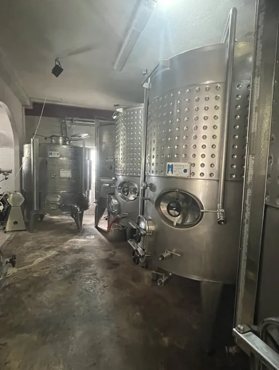 Irpinia Wine Tasting and Lunch in a Typical Farmhouse-17