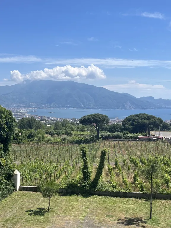 Pompeii and Vesuvius Winery-11