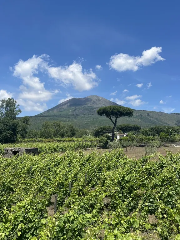 Pompeii and Vesuvius Winery-10