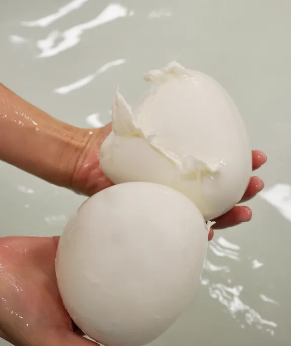 Buffalo Farm and Paestum Temples Private Tour with guide-3