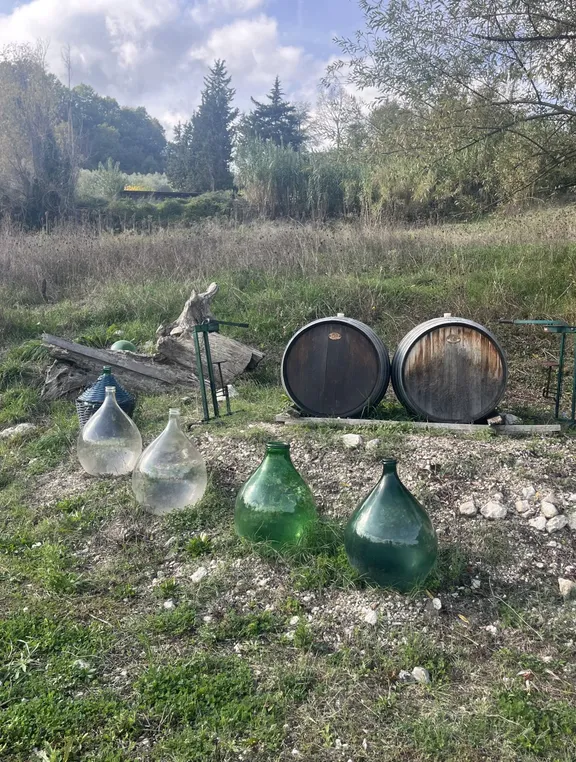 Irpinia Wine Tasting and Lunch in a Typical Farmhouse-2