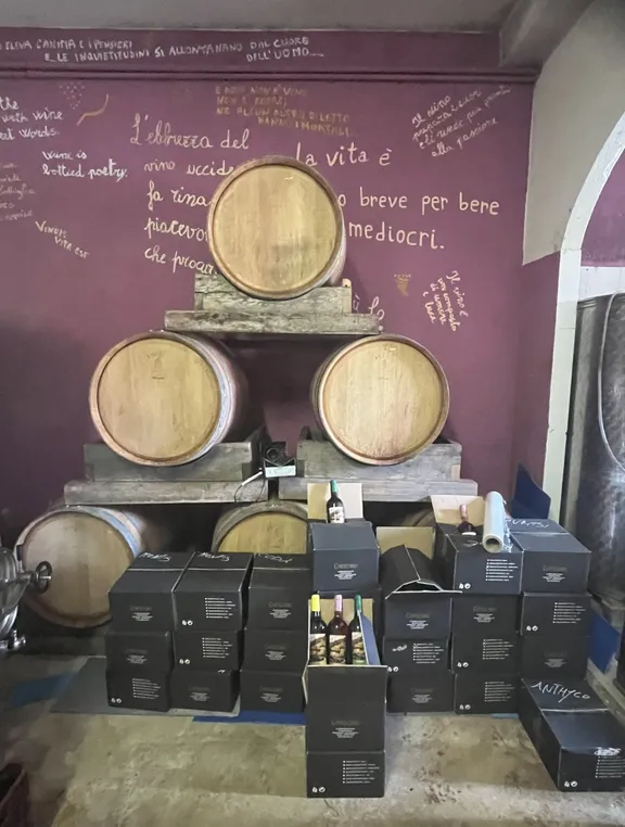 Irpinia Wine Tasting and Lunch in a Typical Farmhouse-16