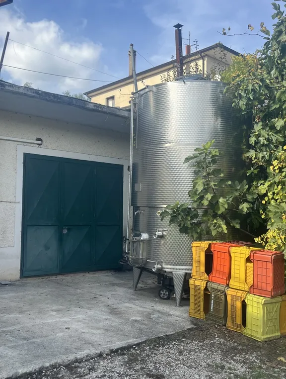 Irpinia Wine Tasting and Lunch in a Typical Farmhouse-4