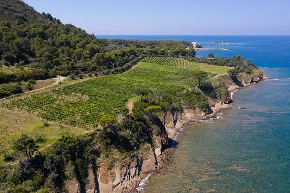 Cilento Experience: Castellabate Tour with Wine and Food Tasting-6