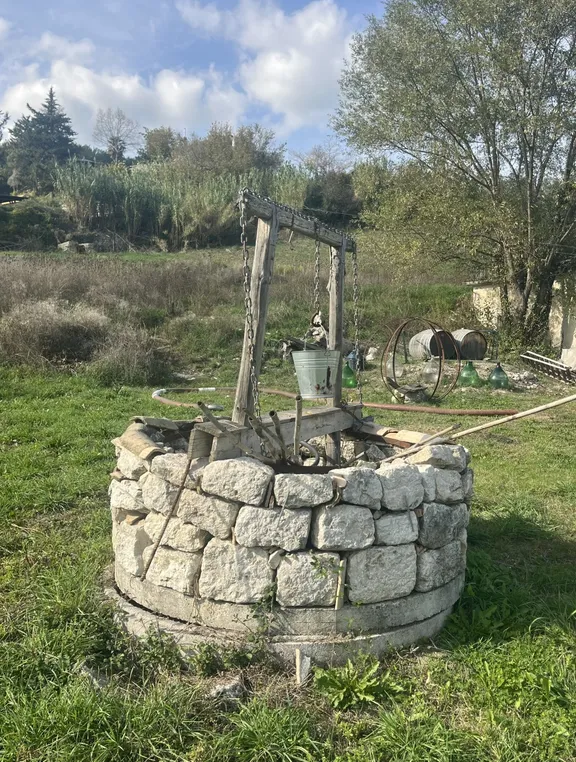 Irpinia Wine Tasting and Lunch in a Typical Farmhouse-3