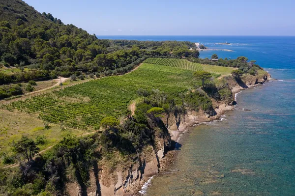 Cilento Experience: Castellabate Tour with Wine and Food Tasting