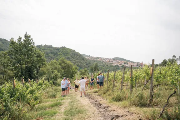 Irpinia Cooking Class (Ravioli & Tiramisù) & Wine Tasting-7