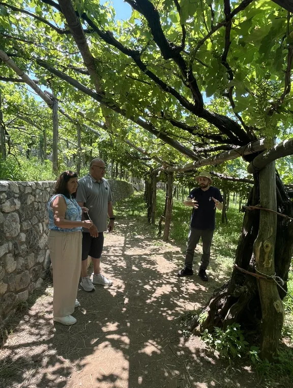 Amalfi Coast Tour & Wine Tasting-15