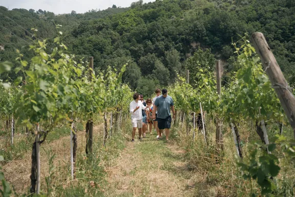 Irpinia Pizza Making Class & Wine Tasting-3