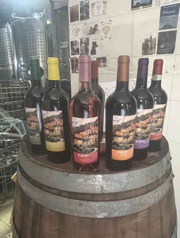 Irpinia Wine Tasting and Lunch in a Typical Farmhouse-19