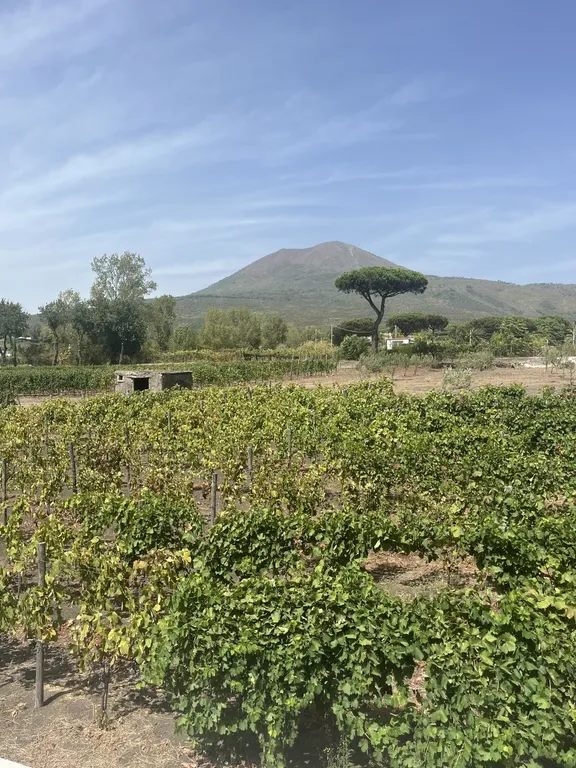 Pompeii and Vesuvius Winery-4