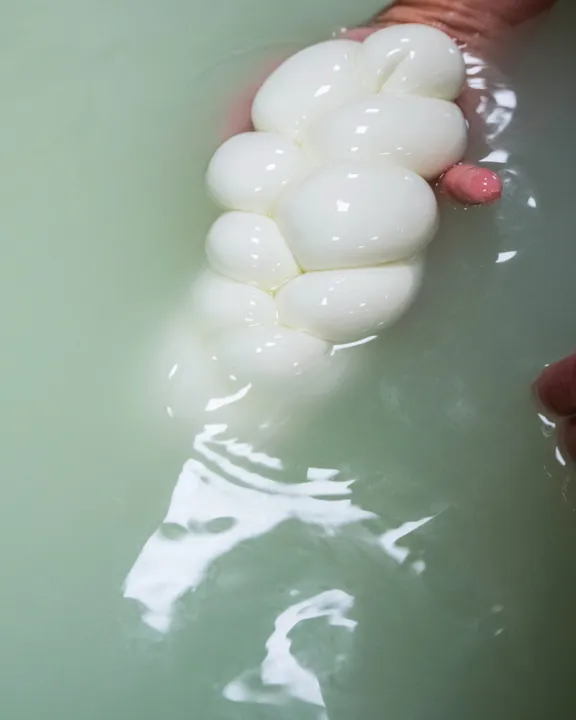 Buffalo Farm and Paestum Temples Private Tour with guide