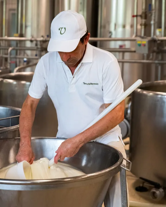 Buffalo Farm and Paestum Temples Private Tour with guide-2