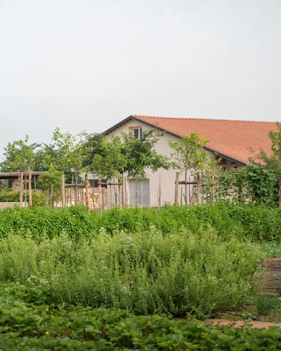 Buffalo Farm and Paestum Temples Private Tour with guide-4